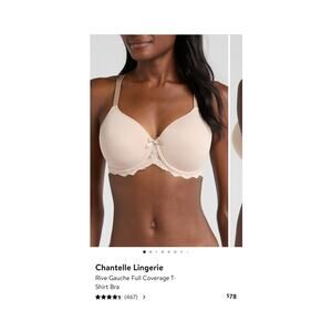 Chantelle Lingerie Rive Gauche Full Coverage T-Shirt Bra Rose Pink 32 E (DD)
